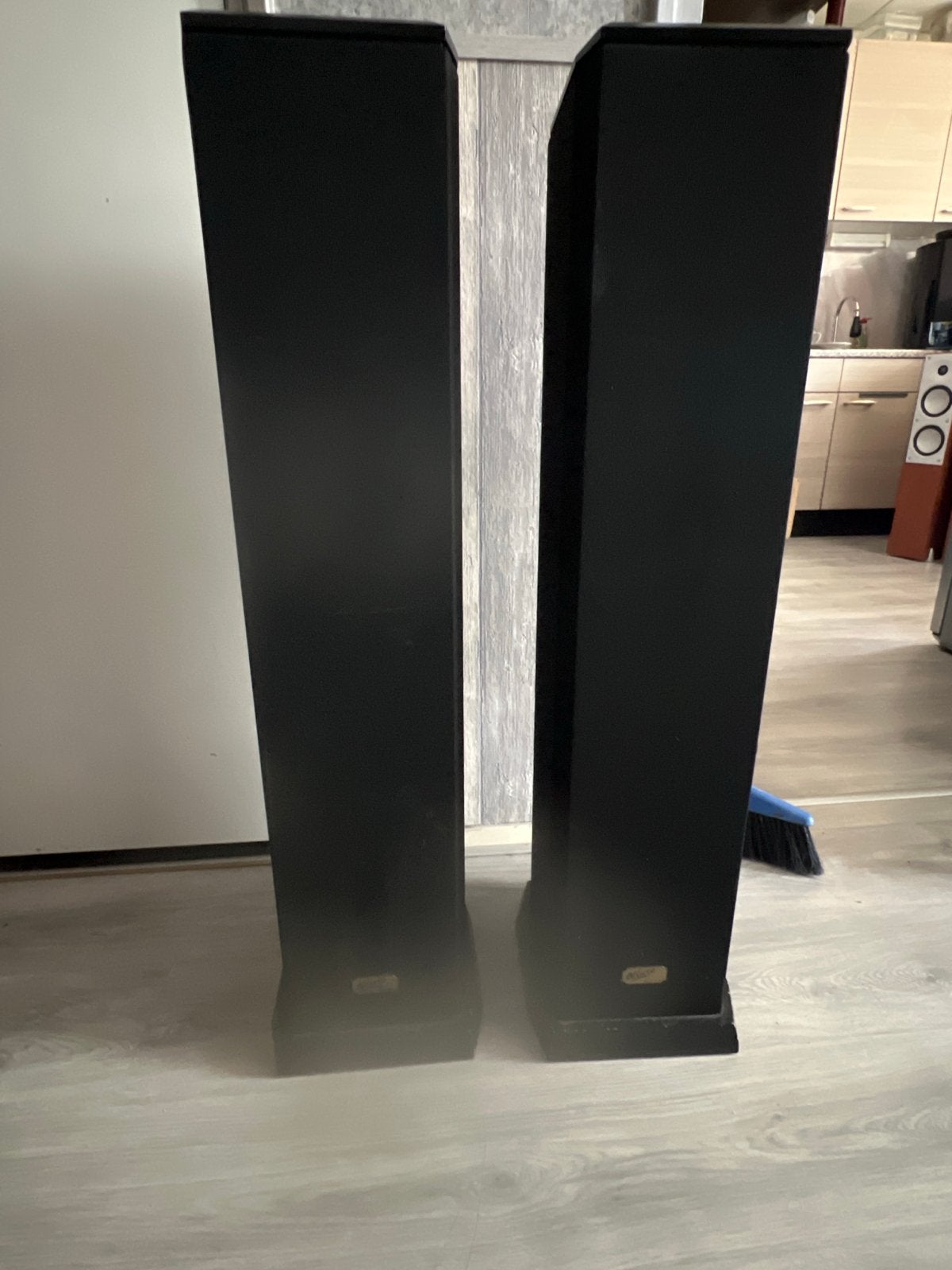 Allure Karaat Serie Model 120 Speakers, Audio, Tv en Foto, Luidsprekers, Gebruikt, 60 tot 120 watt, Front, Rear of Stereo speakers