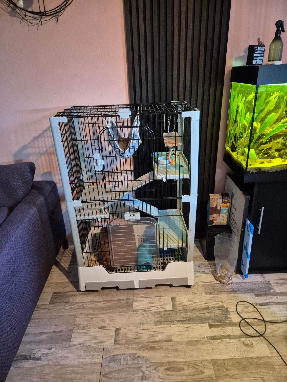 2 ratjes inclusief toebehoren, Kooi, Gebruikt, 75 tot 110 cm, Ophalen