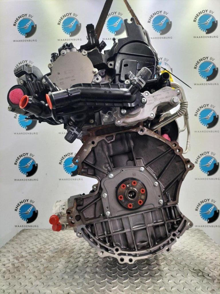 FORD PUMA MOTOR B7JB 2021, Ophalen of Verzenden, Gebruikt, ARN erkend