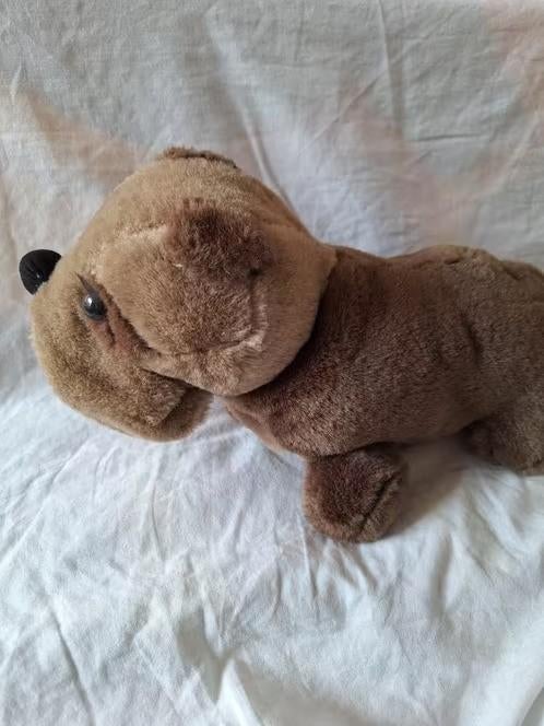 Bruine hond knuffel h3, Kinderen en Baby's, Speelgoed | Knuffels en Pluche, Gebruikt, Overige merken, Overige karakters, Onbekend