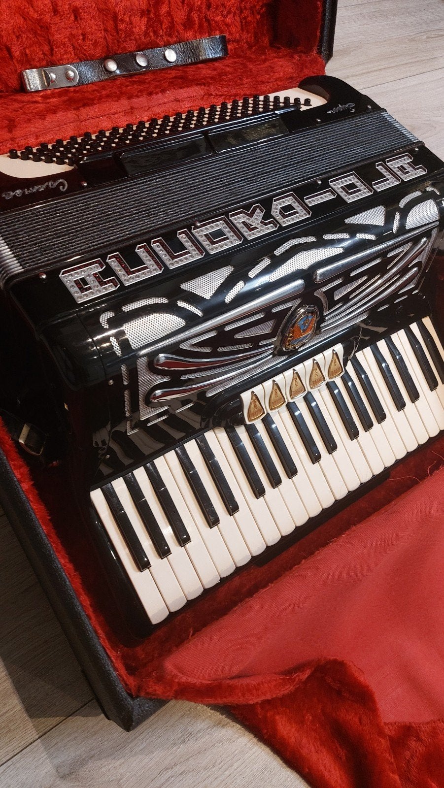 Accordiola Carmen 120 bass Super Accordeon met koffer en rie, Gebruikt, Overige formaten, Met koffer, Accordiola