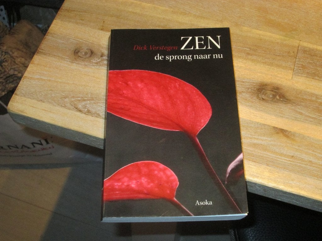 Zen: De sprong naar nu - Dick Verstegen, Boeken, Filosofie, Ophalen of Verzenden, Zo goed als nieuw, Dick Verstegen, Overige onderwerpen