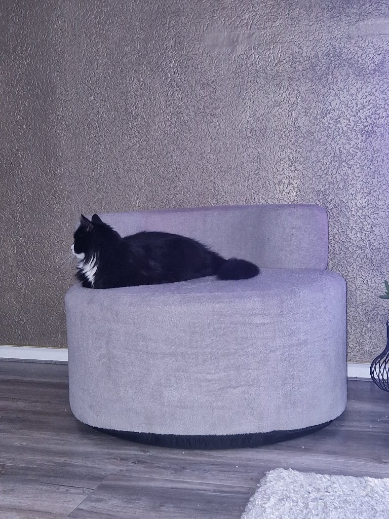 Kat / hond stoel seat, Ophalen, Zo goed als nieuw