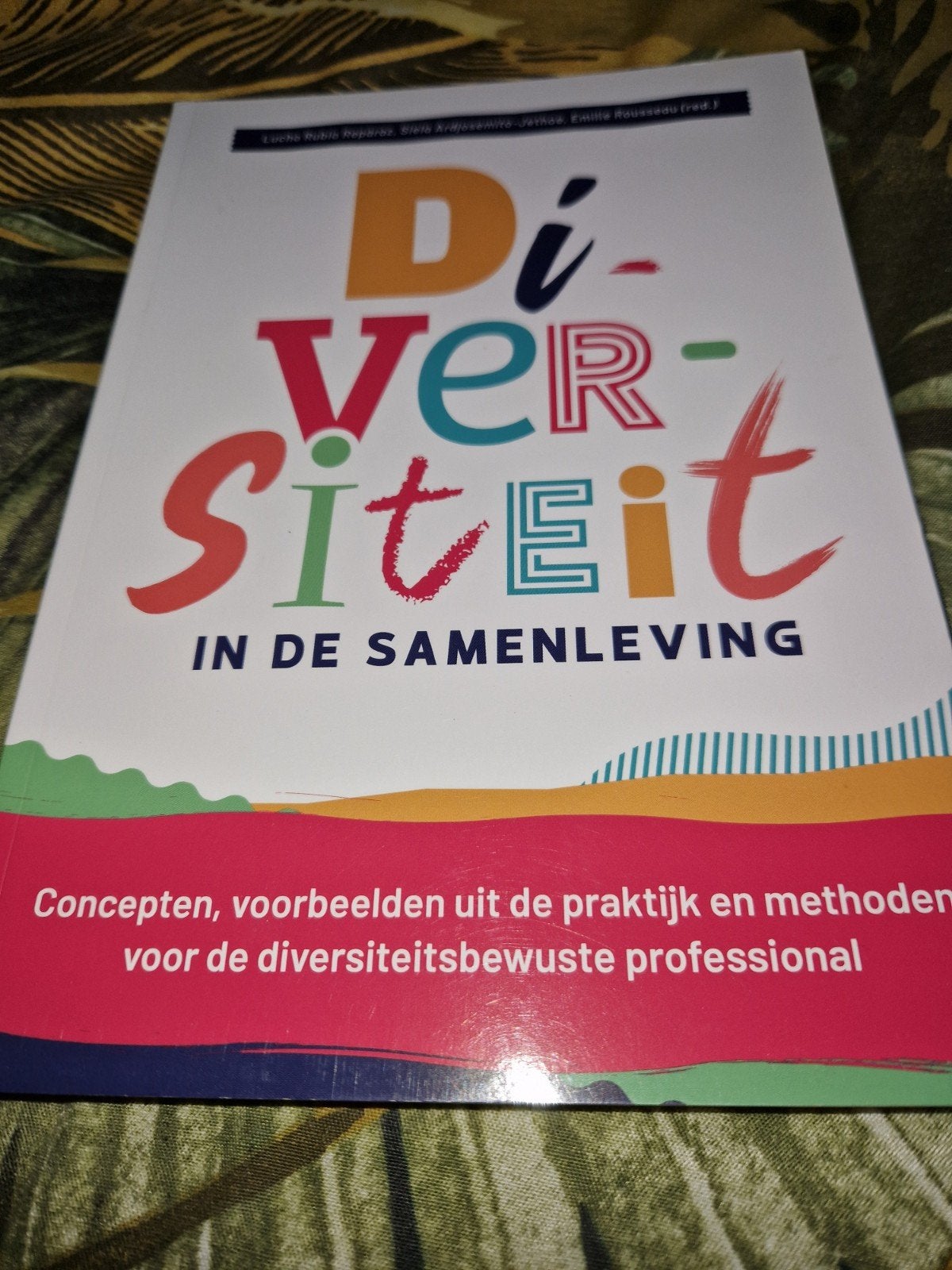 Diversiteit in de samenleving, Ophalen of Verzenden, Zo goed als nieuw, Sociale wetenschap
