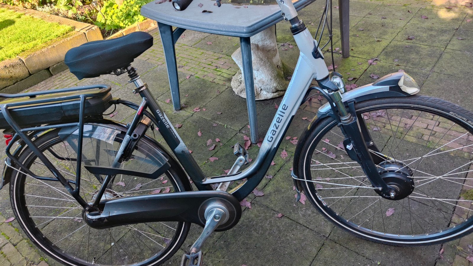 Foto 14 van Diverse Gazelle Electrische Fietsen
