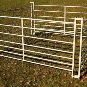 Schapen hekjes ong. 150 cm breed met koppelbeugels gegalv.