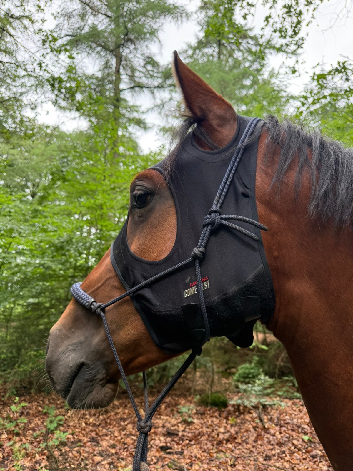Lamicell titanium masker full/ M, Ophalen of Verzenden, Zo goed als nieuw, Overige soorten