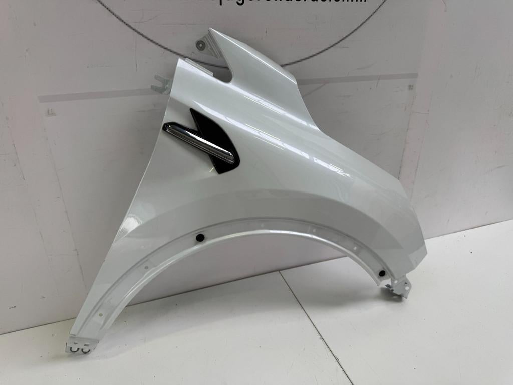 RENAULT CAPTUR 2 SPATBORD VOORSCHERM ZIJSCHERM RECHTS, Renault Group, Gebruikt, Contact.group@renault.com, Renault