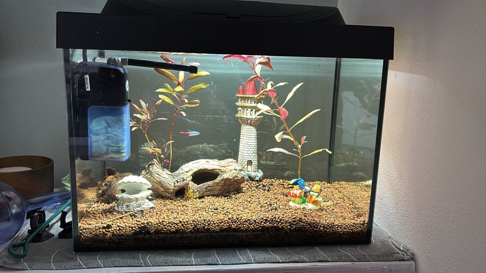 Compleet aquarium met toebehoren, Dieren en Toebehoren, Ophalen, Gebruikt, Gevuld zoetwateraquarium, Inclusief vissen