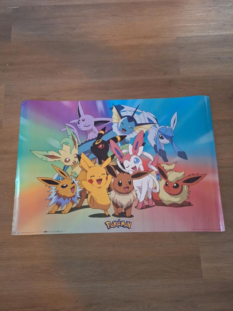 Pokémon Eevee Evoluties Poster - Pikachu, Ophalen of Verzenden, Gebruikt