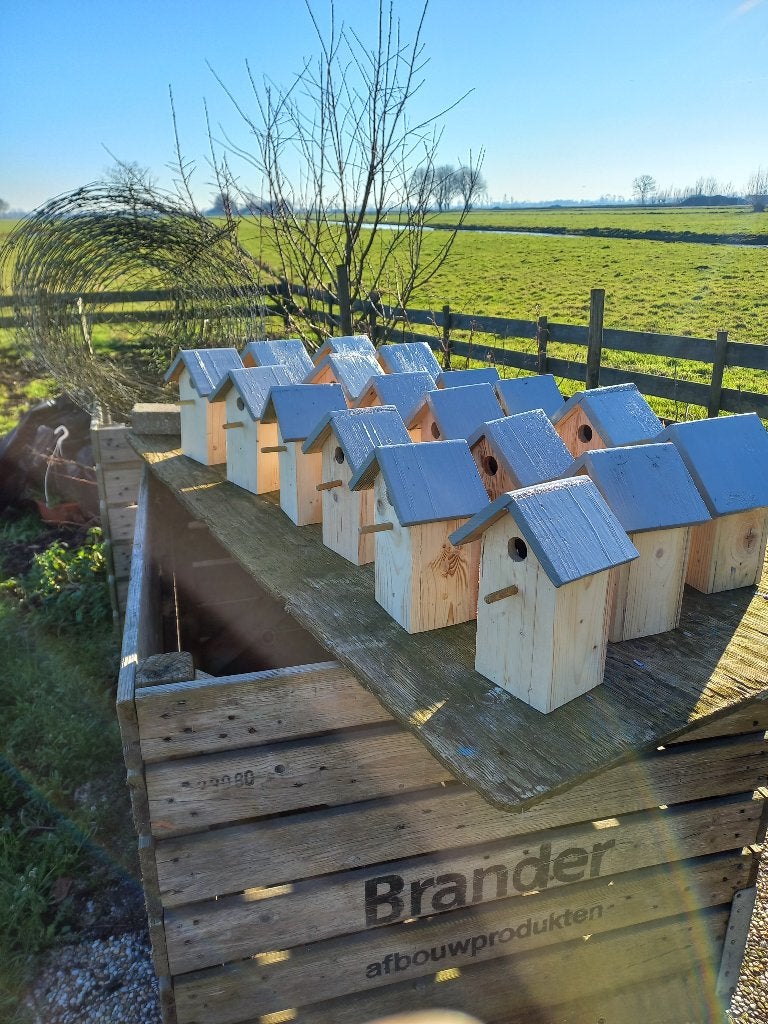 vogelhuisjes, Ophalen of Verzenden, Nieuw