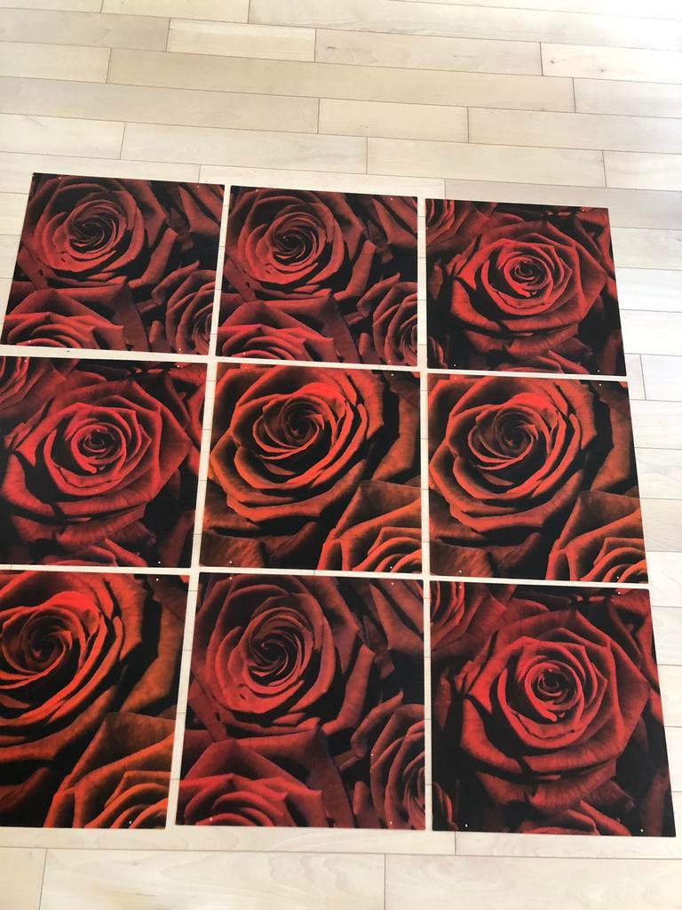 9 plastic panelen met een afbeelding van een roos, Ophalen of Verzenden, Zo goed als nieuw