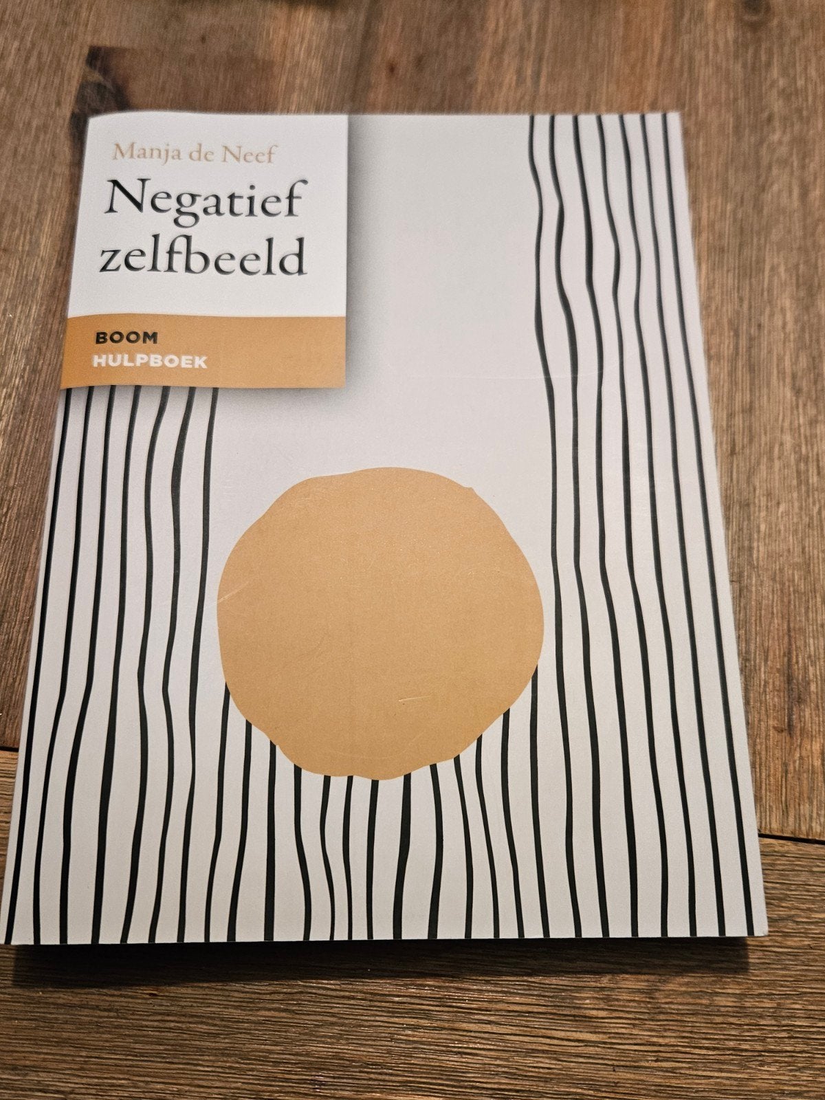 Negatief zelfbeeld - Manja de Neef (Boom Hulpboek), Boeken, Ophalen of Verzenden, Zo goed als nieuw, Klinische psychologie, Manja de Neef