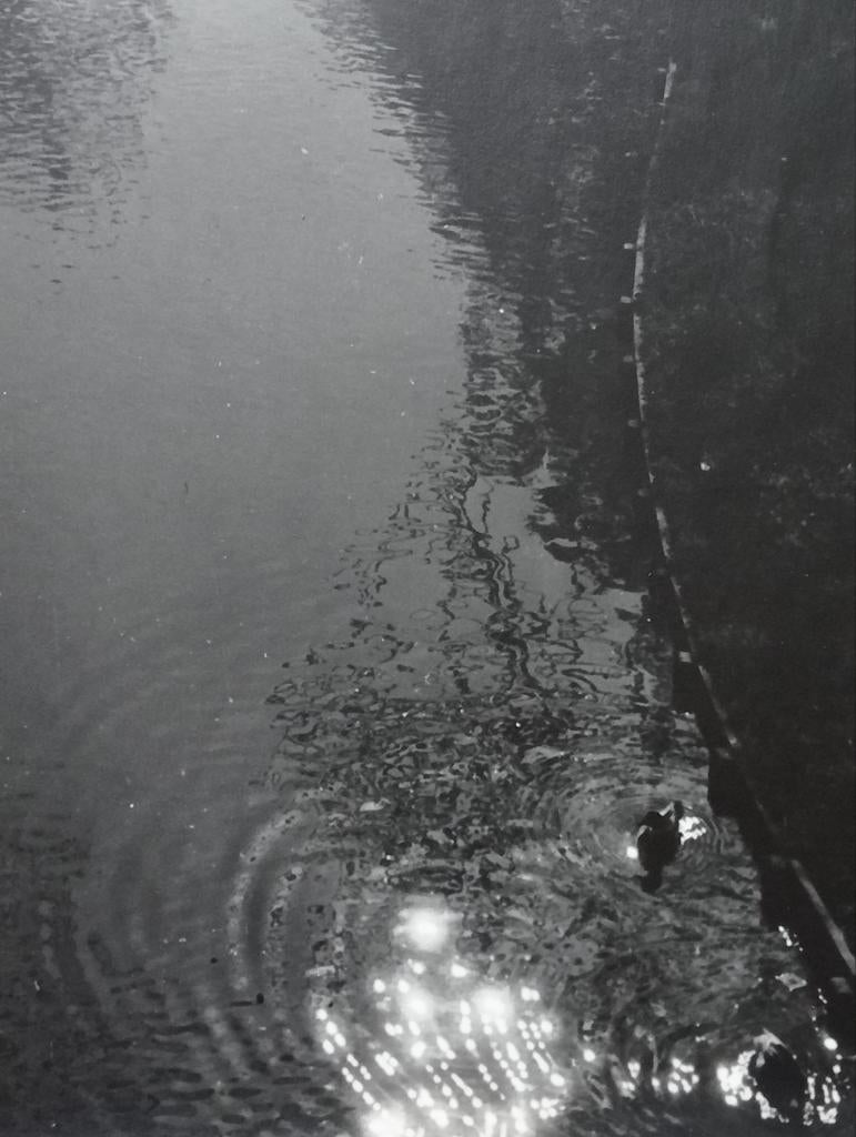 Foto water met weerspiegeling jaren 20/30, Ophalen of Verzenden, Voor 1940, Zo goed als nieuw