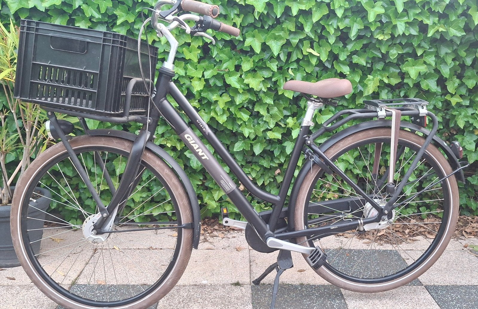 Giant Triple X Damesfiets met Voordrager en Mand, Ophalen, Terugtraprem, Versnellingen, Giant