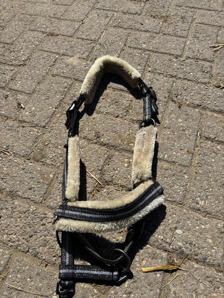 Halster eskadron cob, Dieren en Toebehoren, Ophalen of Verzenden, Overige soorten