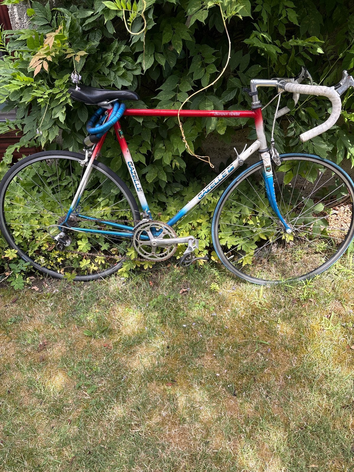Retro Gazelle racefiets, rood/blauw, 28 inch, Fietsen en Brommers, Ophalen, 28 inch, Gebruikt, Gazelle