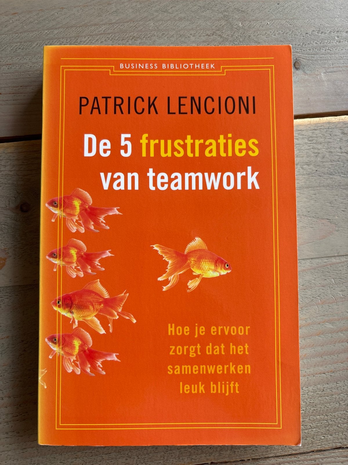 De 5 frustraties van teamwork - Patrick Lencioni, Ophalen of Verzenden, Gelezen