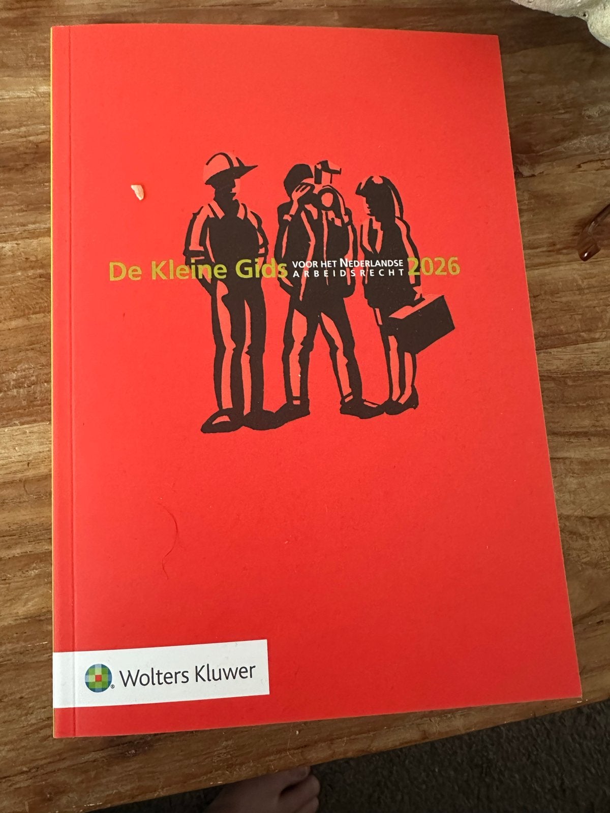De Kleine Gids voor het Nederlandse Arbeidsrecht 2026, Verzenden, Gamma, Nieuw, MBO