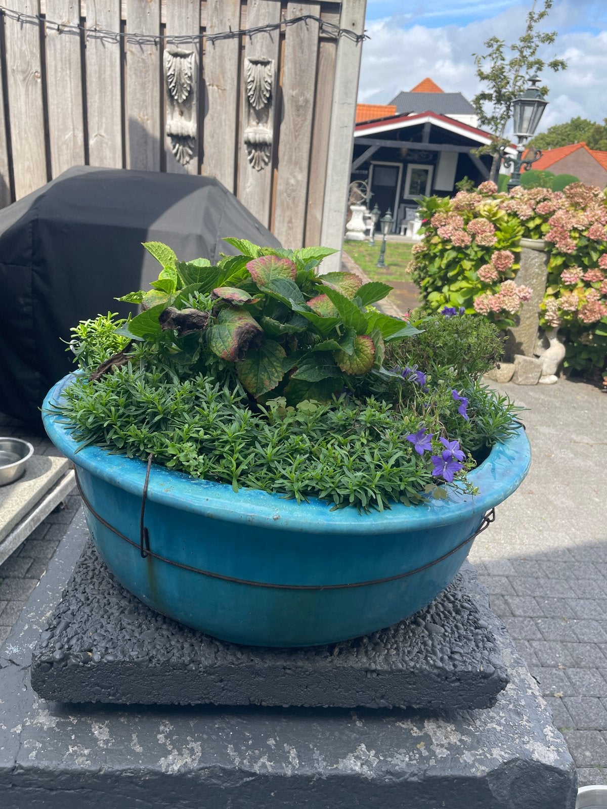 Grote blauwe bloempot, 60 cm doorsnede, Ophalen, Gebruikt, Balkon, 40 cm of meer