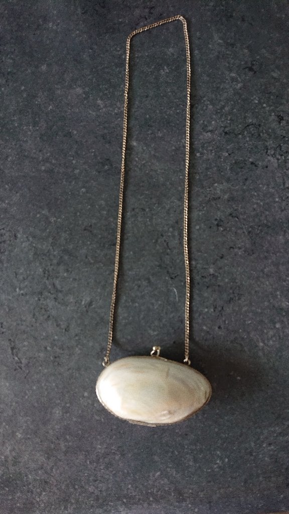 Schelp Doosje met Ketting - Parelmoer Glans, Antiek en Kunst, Ophalen