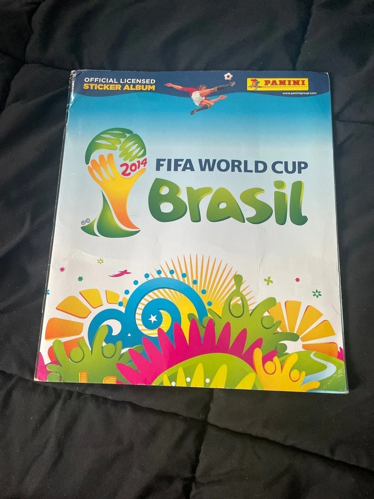 Panini 2010 compleet, Ophalen of Verzenden, Zo goed als nieuw