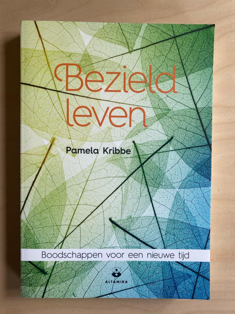 Bezield leven: Boodschappen voor een nieuwe tijd - Pamela Kr, Boeken, Ophalen of Verzenden, Zo goed als nieuw, Spiritualiteit algemeen