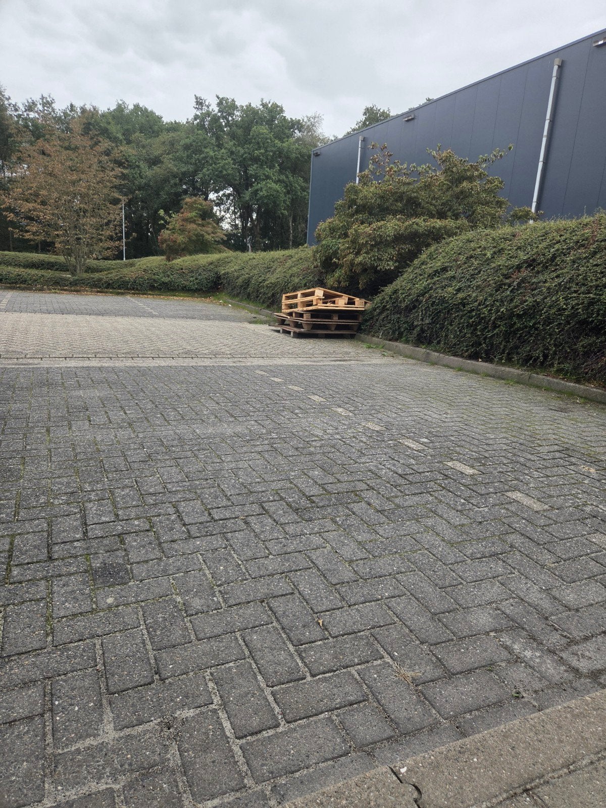 gratis pallets, Ophalen