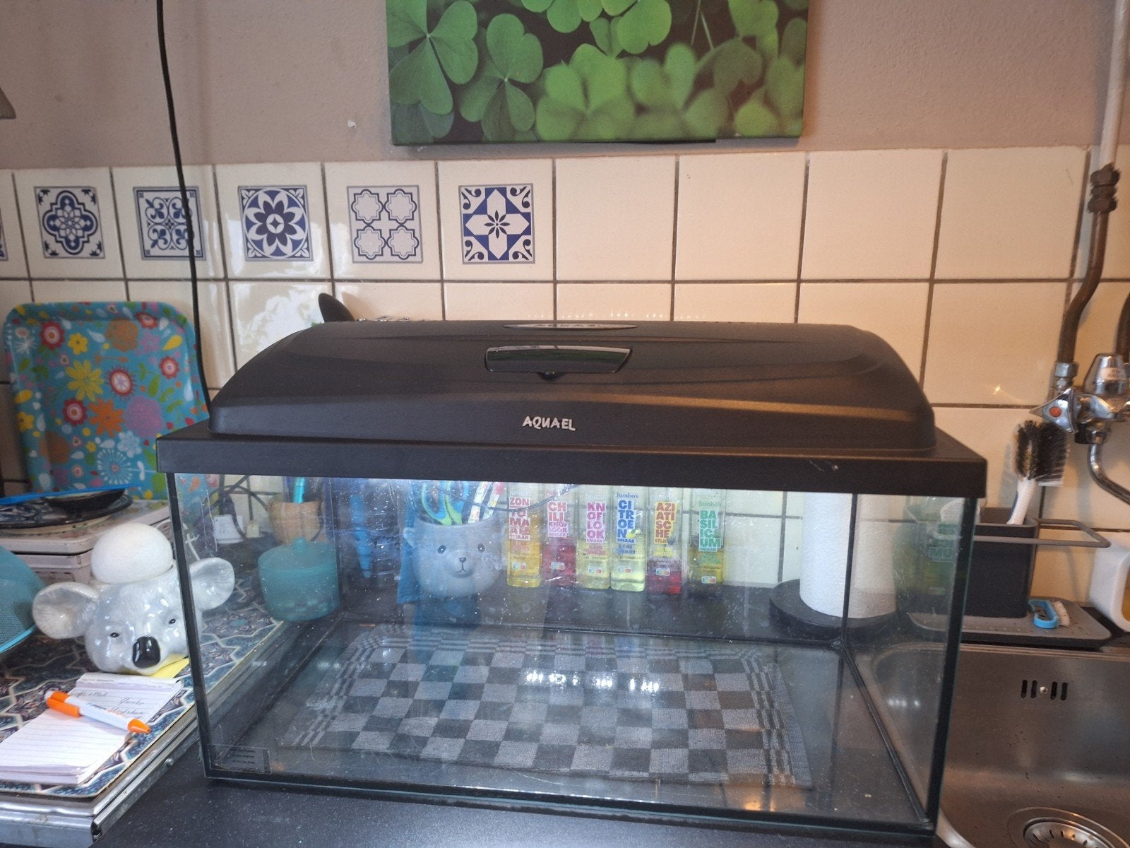 Aquael Classic Box 60 AQUARIUM, Ophalen, Gebruikt, Aquael, Inclusief deksel