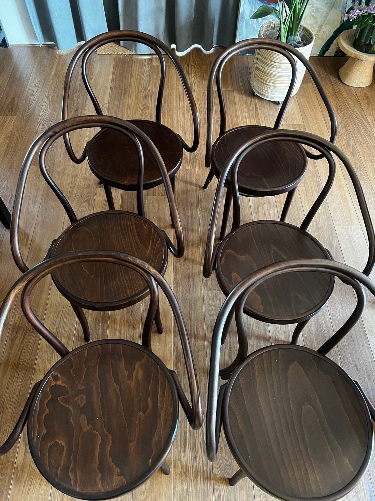 6 Fameg Venice no. 9 walnoot, Huis en Inrichting, Stoelen, Ophalen, Bruin, Zo goed als nieuw, Hout