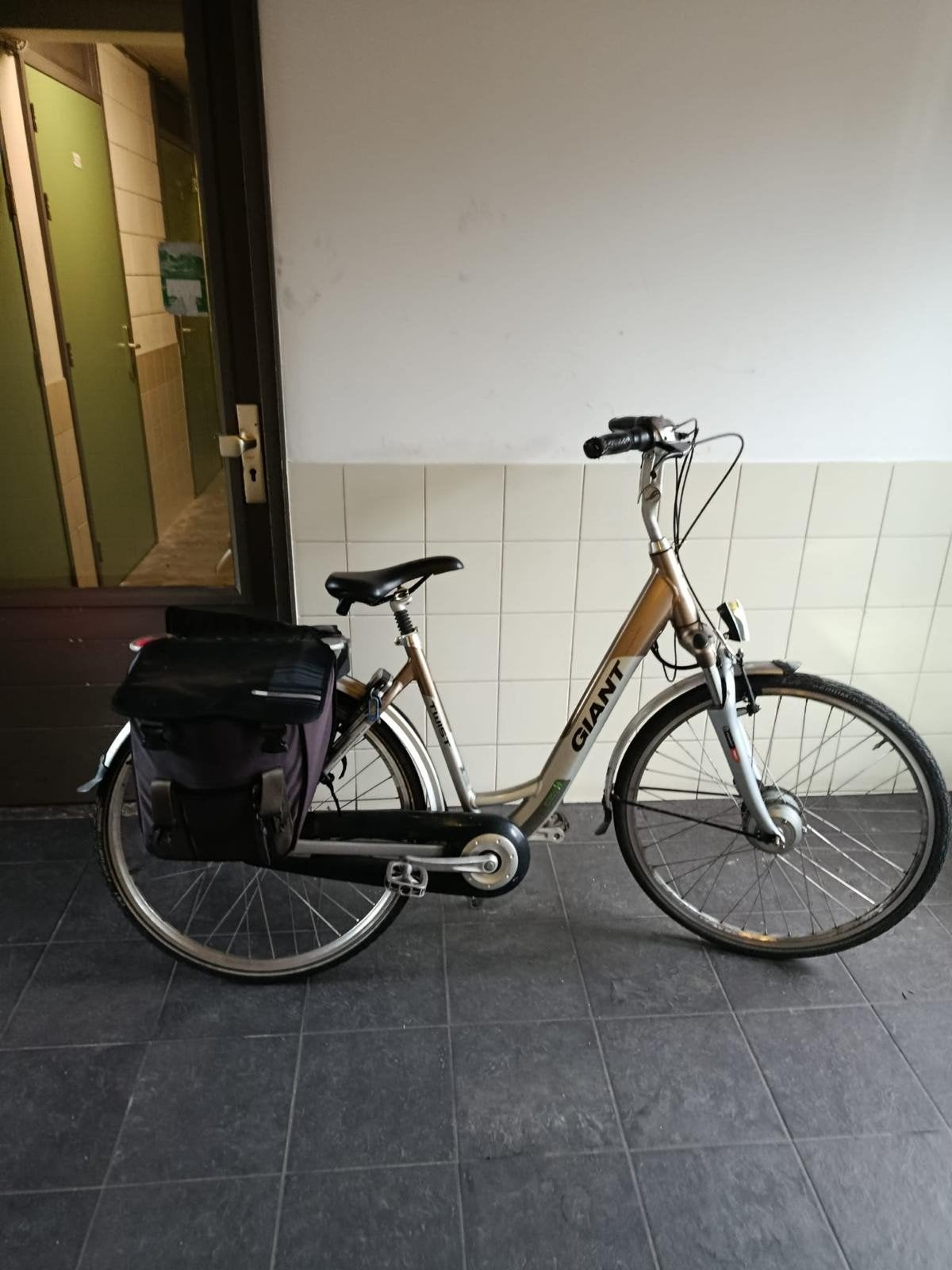 Giant elektrische fiets geschikt voor de wat kleinere person, Fietsen en Brommers, Elektrische fietsen, Zo goed als nieuw, Overige merken