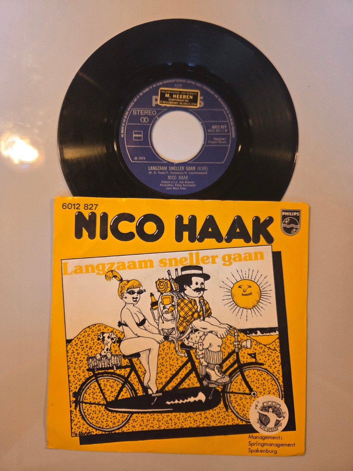 Nico Haak - Langzaam sneller gaan, Ophalen of Verzenden, Gebruikt, Nederlandstalig