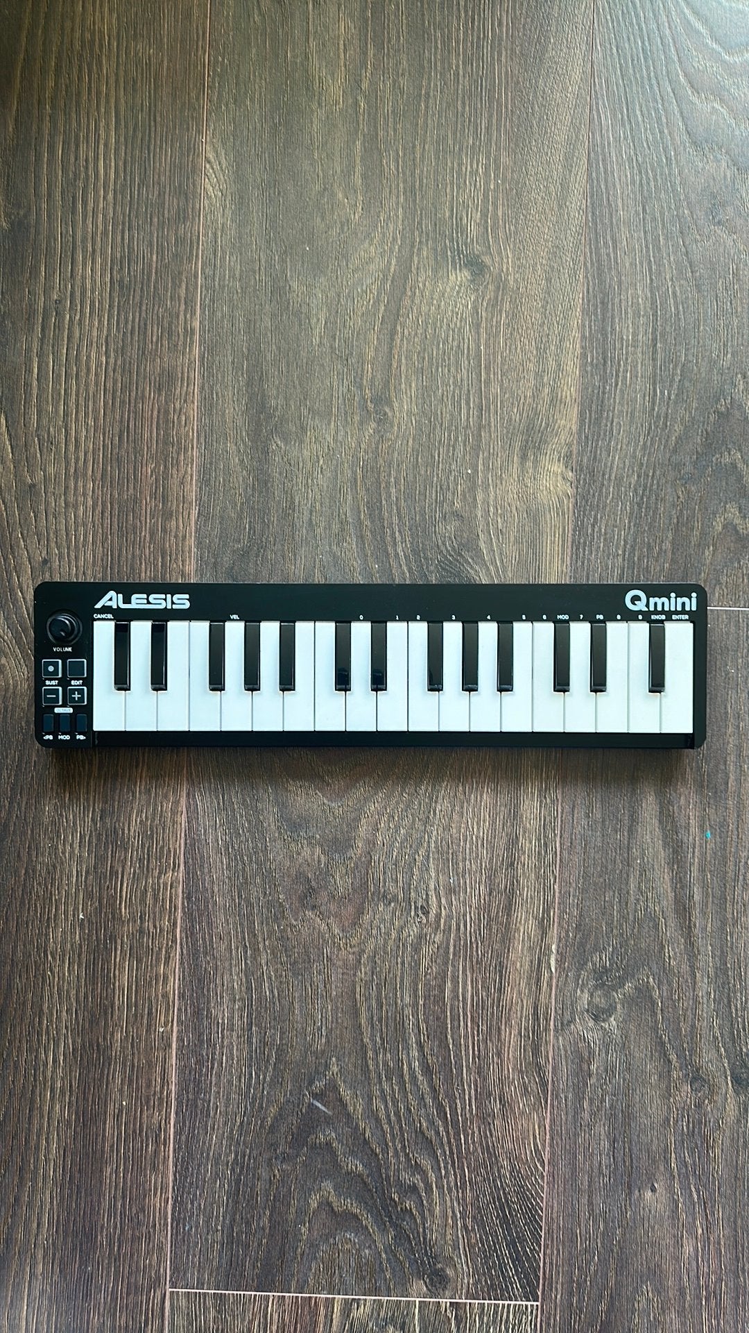 Alesis Qmini Keyboard, Ophalen, Zo goed als nieuw