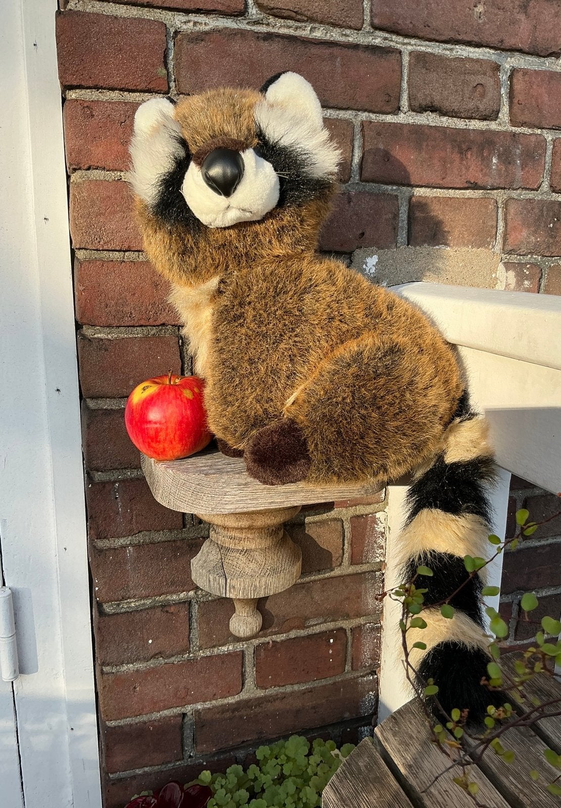 Een knuffel in goede & mooie staat. Een lieve wasbeer. Beer., Ophalen of Verzenden, Zo goed als nieuw