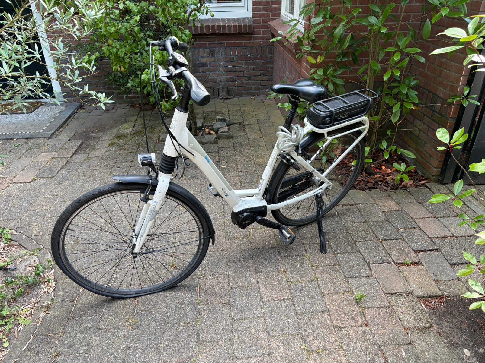Giant elektrische fiets met middenmotor (kapot display), Ophalen, Zo goed als nieuw, Minder dan 10 versnellingen, Giant