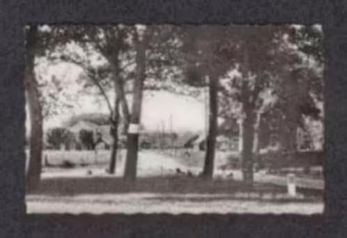Drouwen Groeten uit Drouwen Boerderijen Brink., Ophalen of Verzenden, 1960 tot 1980, Gelopen, Drenthe