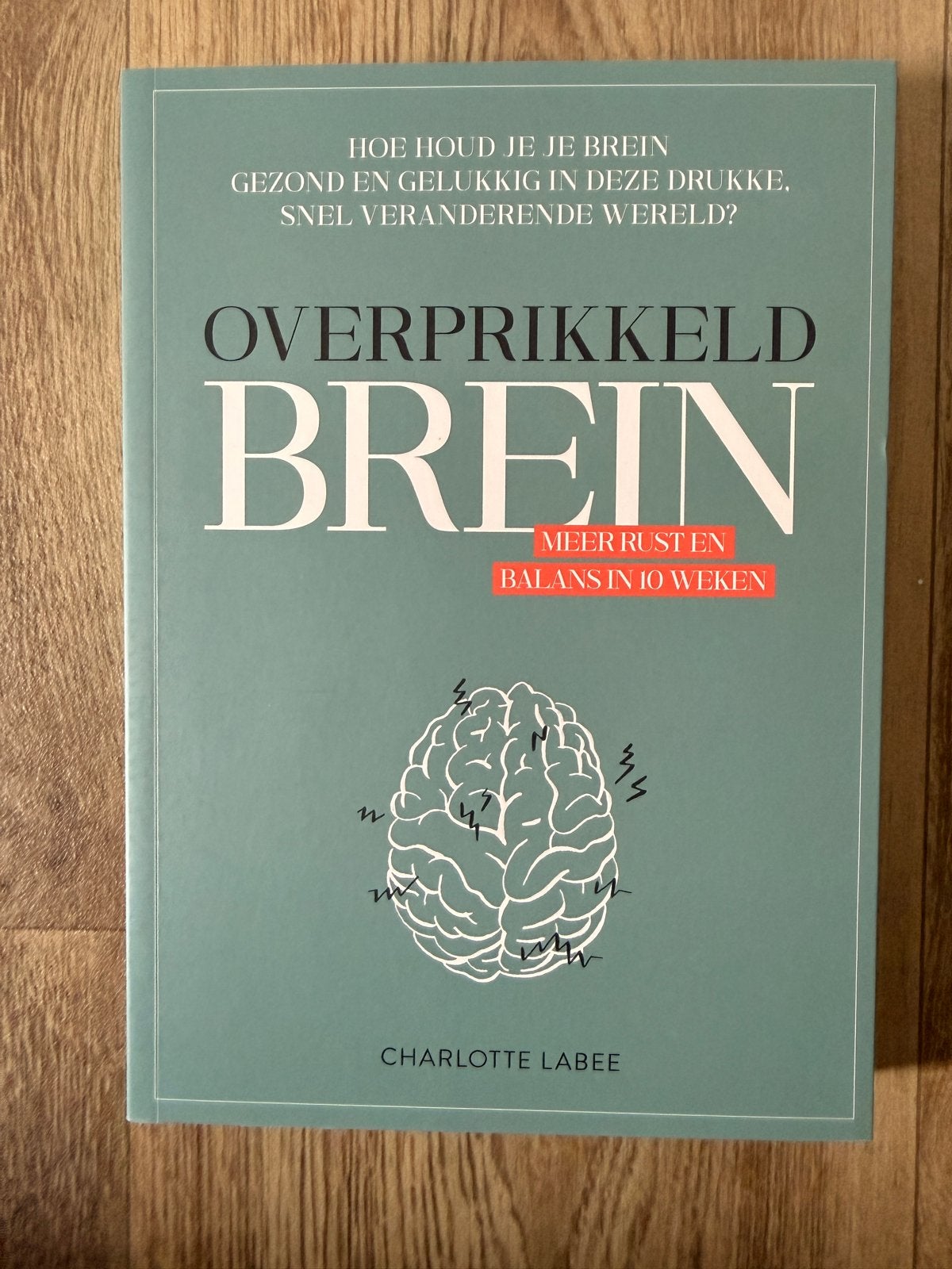 Overprikkeld Brein - Meer rust en balans in 10 weken, Ophalen of Verzenden, Nieuw