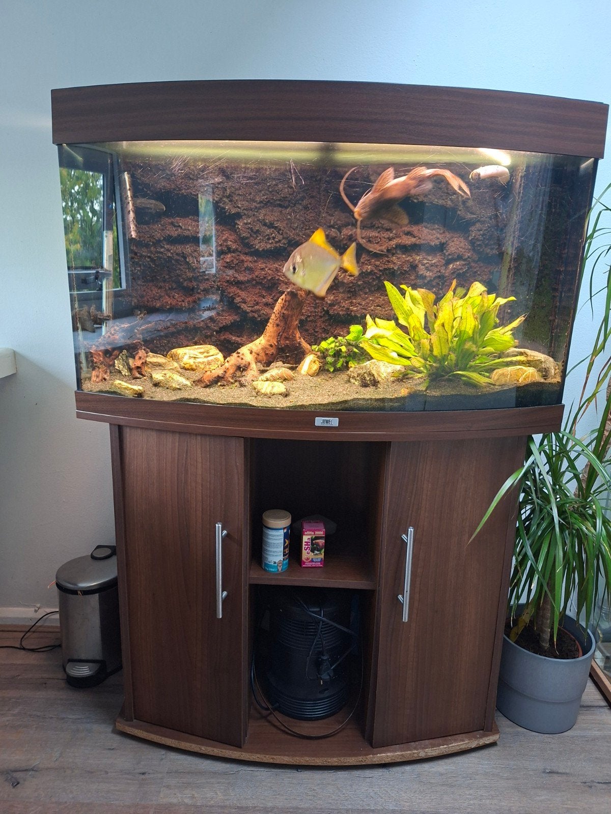 Juwel Vision 180, Dieren en Toebehoren, Ophalen, Gebruikt, Juwel, Inclusief deksel