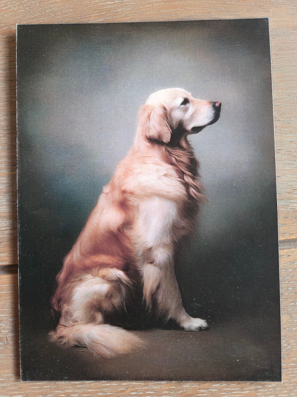 GOLDEN RETRIEVER, Ophalen, Hond of Kat