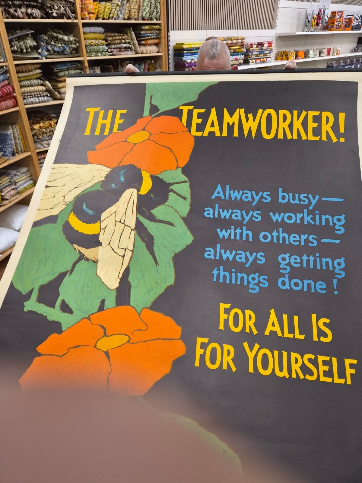 Vintage Motivatie Posters: The Teamworker & Diving for Succe, Ophalen of Verzenden