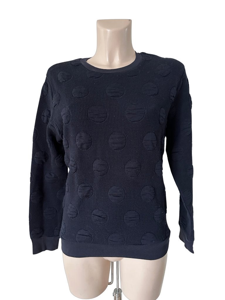 Sandro trui M, Kleding | Dames, Maat 38/40 (M), Blauw, Ophalen of Verzenden, Zo goed als nieuw