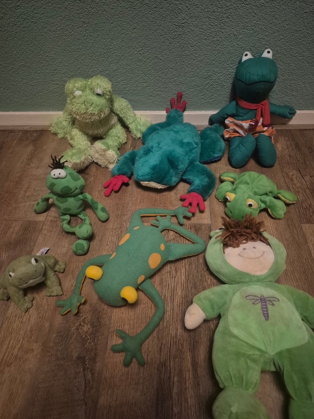 Grote collectie kikker spullen - knuffels, speelgoed en meer, Ophalen, Gebruikt, Overige typen