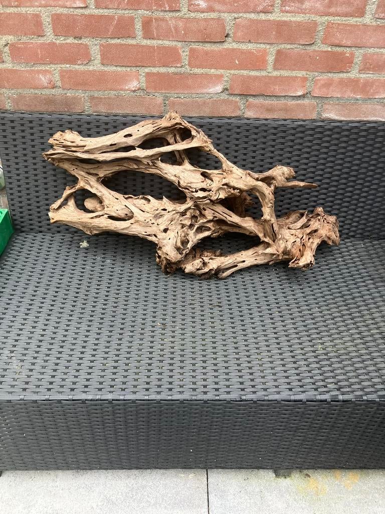 Groot stuk aquarium hout, Ophalen, Zo goed als nieuw, Plant(en), Steen of Hout