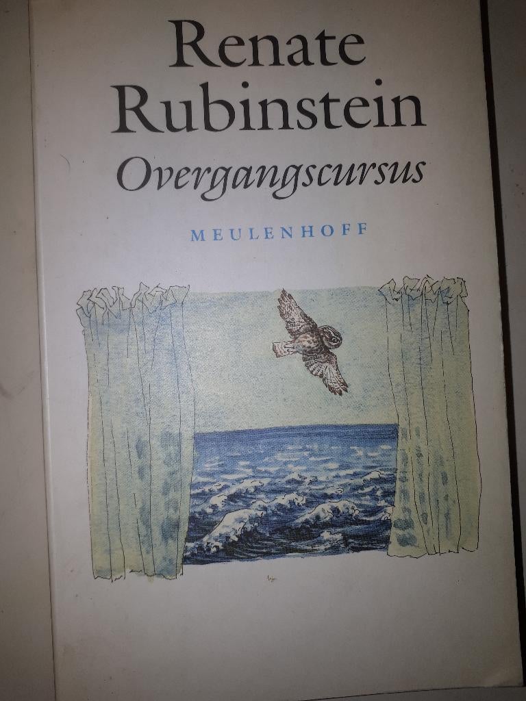 Overgangscursus - Renate Rubinstein, Boeken, Ophalen of Verzenden, Gelezen