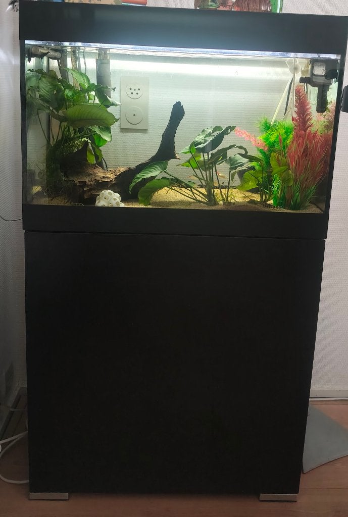 Oase aquarium met meubel, Ophalen, Oase, Inclusief vissen, Gevuld zoetwateraquarium