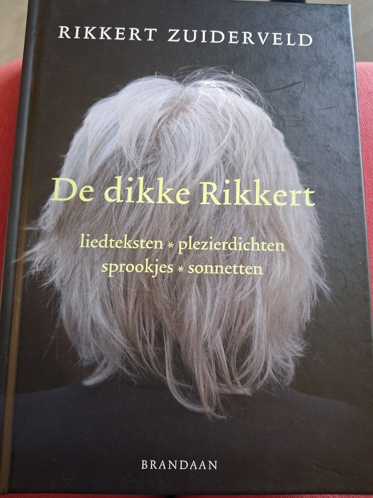 De dikke Rikkert, Boeken, Ophalen, Zo goed als nieuw, Overige onderwerpen, Rikkert Zuiderveld