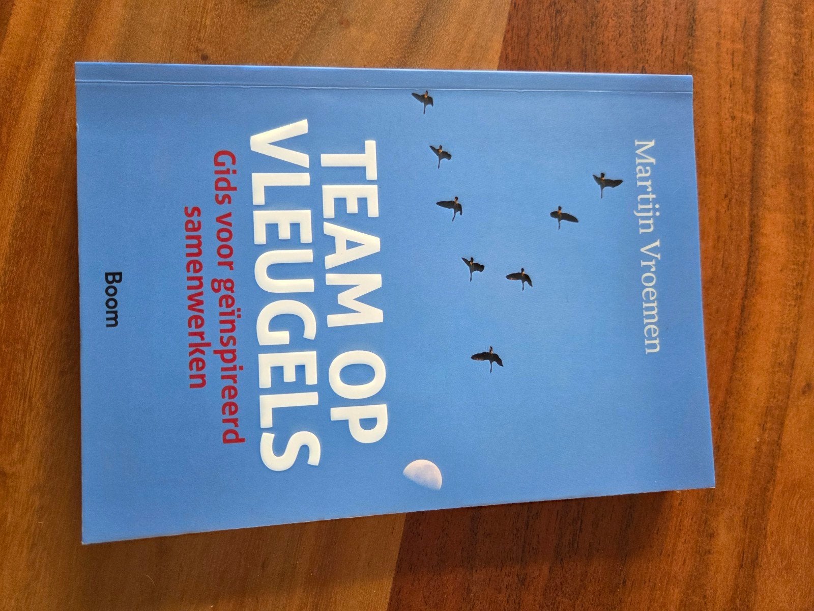 Team op Vleugels - Gids voor geïnspireerd samenwerken, Boeken, Ophalen of Verzenden, Zo goed als nieuw, Martijn Vroemen