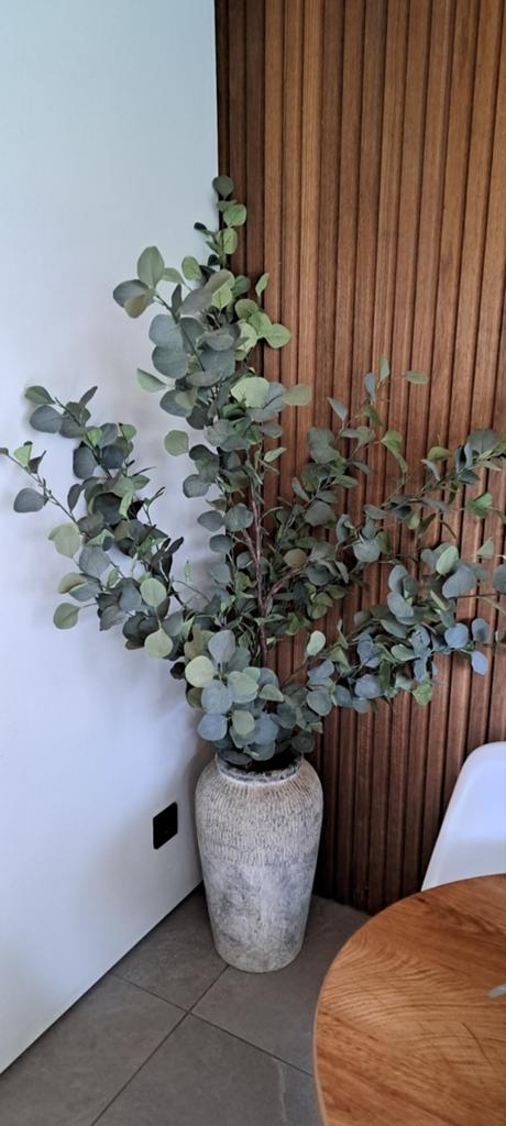Bos eucalyptus takken, Ophalen