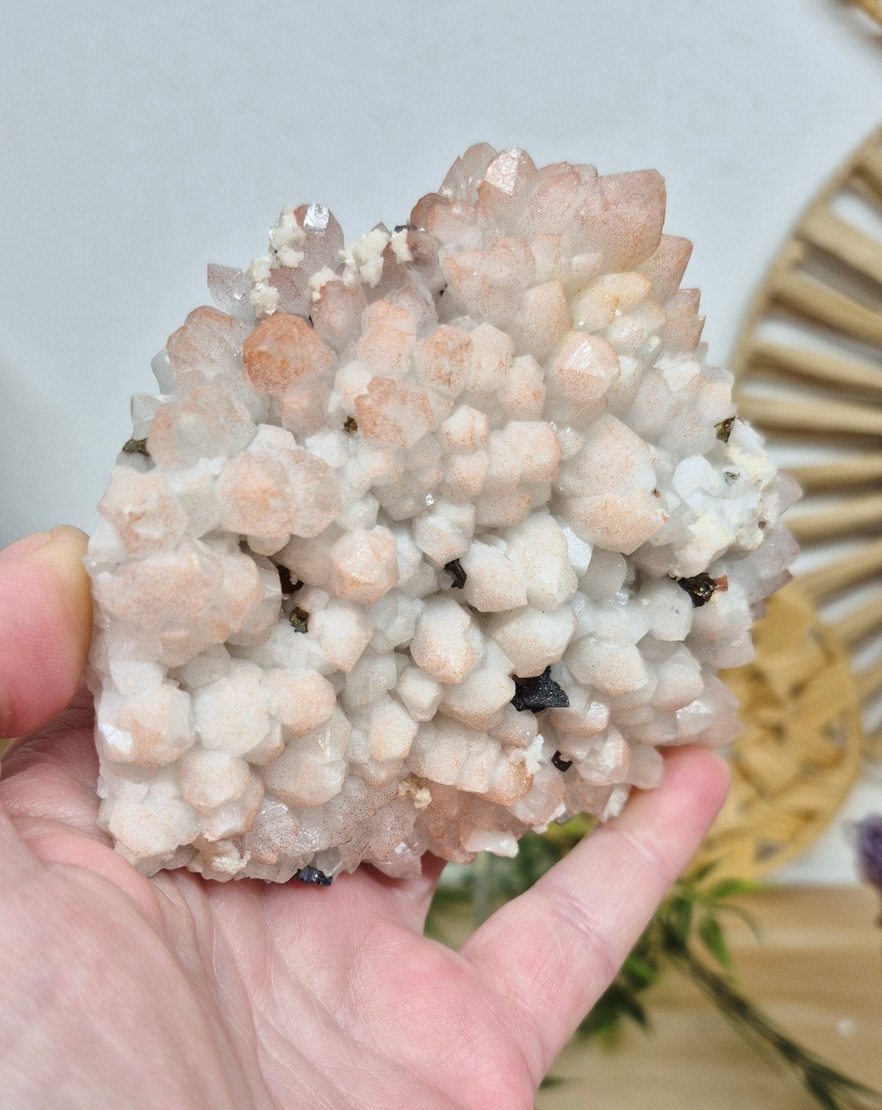 Aardbeienkwarts cluster, Verzenden