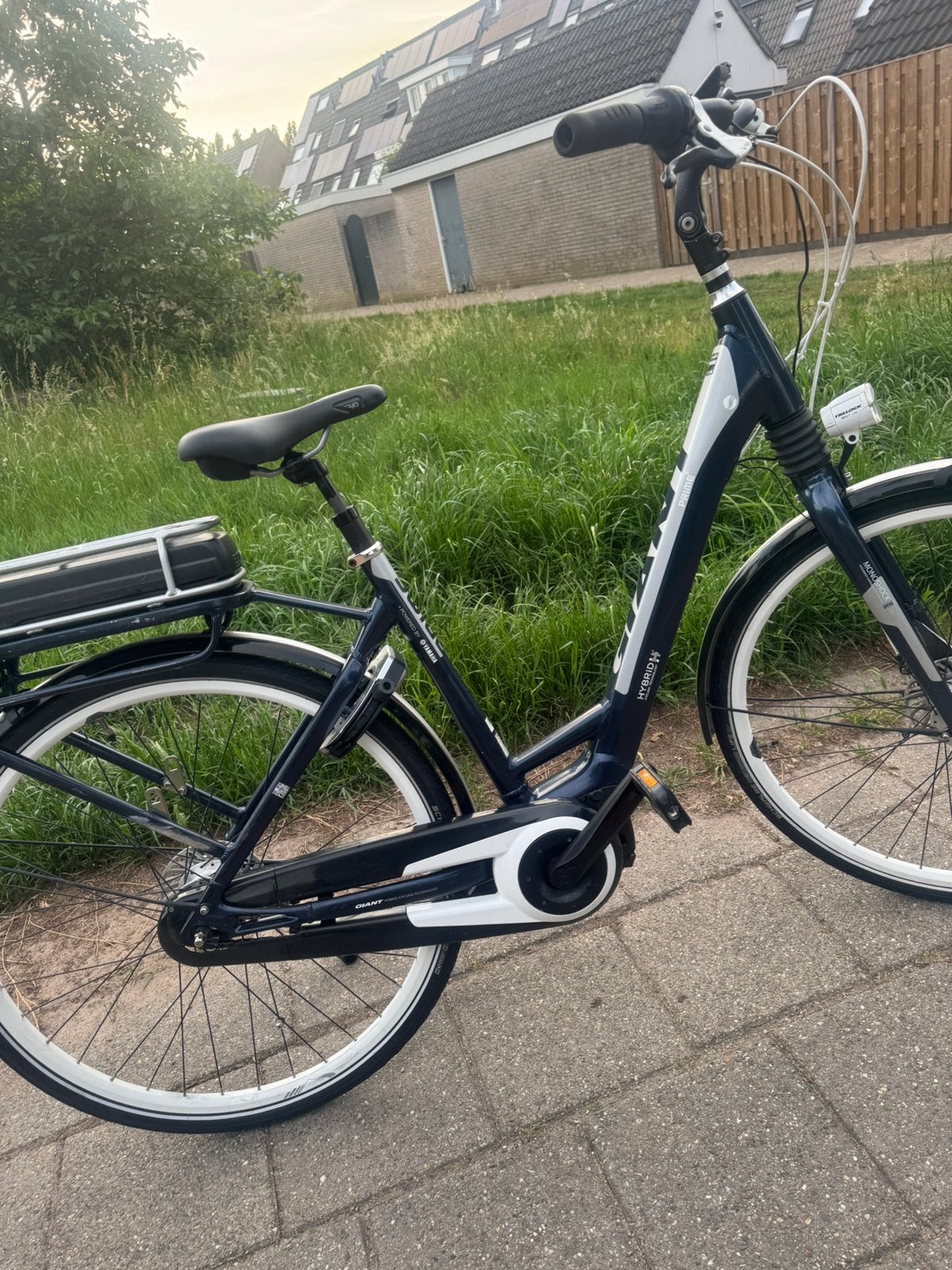 Elektrisch fiets giant prime, Fietsen en Brommers, Elektrische fietsen, 51 tot 55 cm, Ophalen, Zo goed als nieuw, Overige merken